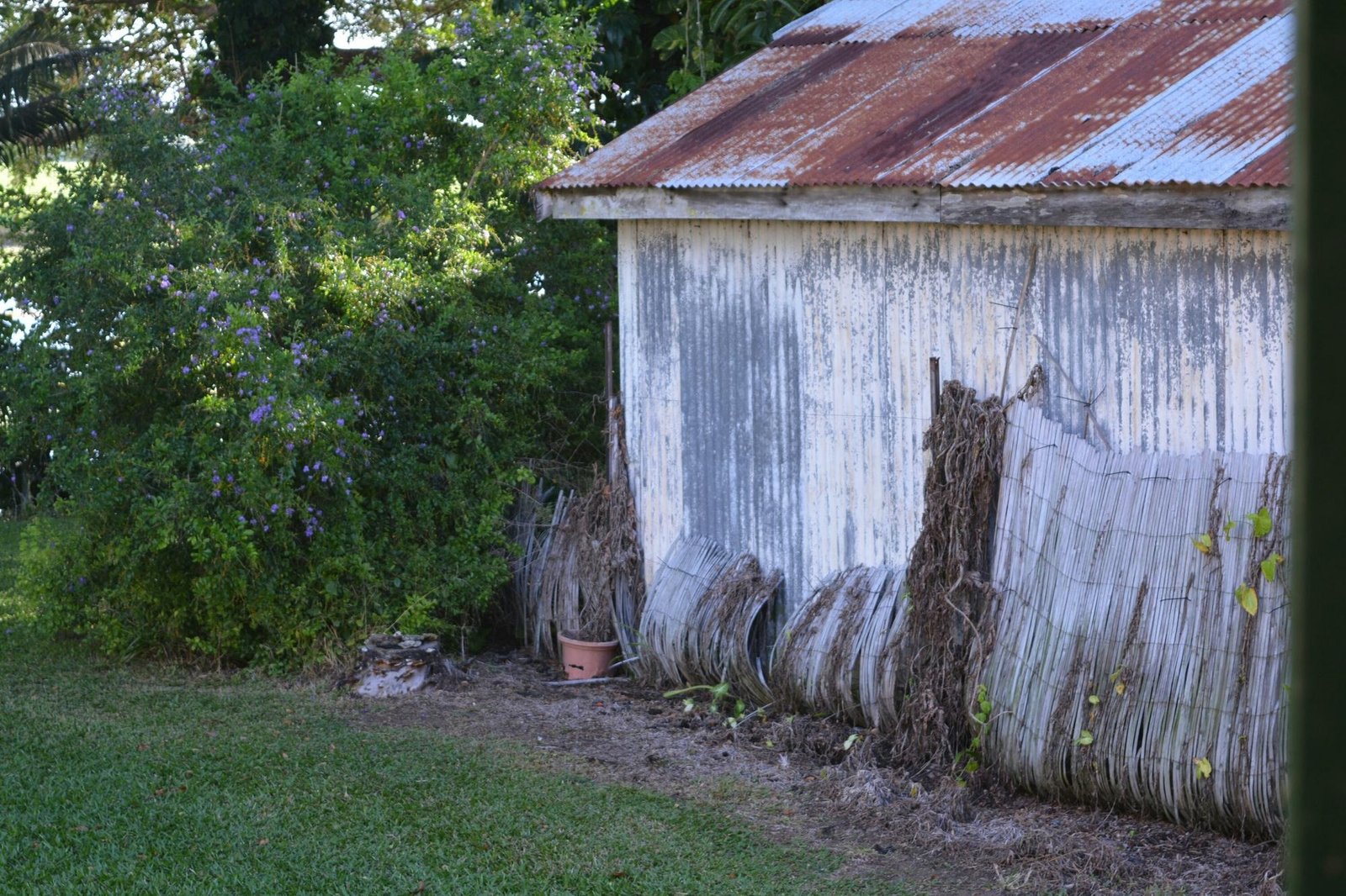 We Kleen Clutter Shed Removal in West GA We Kleen Clutter Shed Removal in West GA