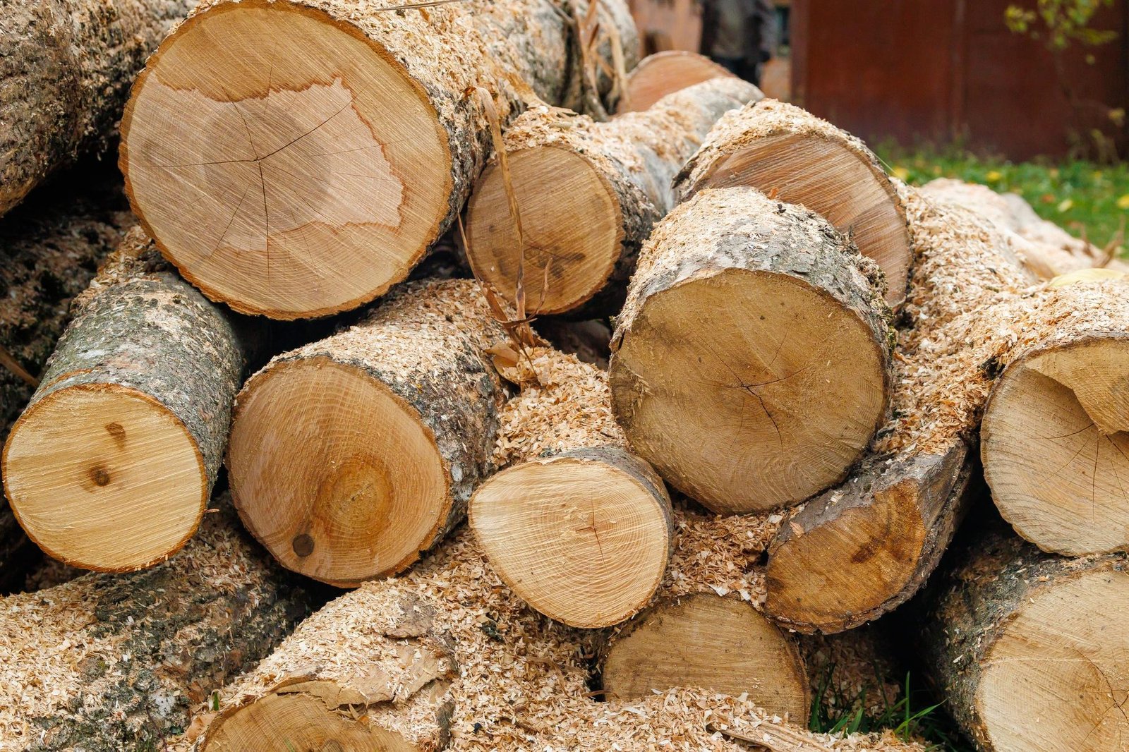 We Kleen Clutter Wood Pile Removal Service in West, GA