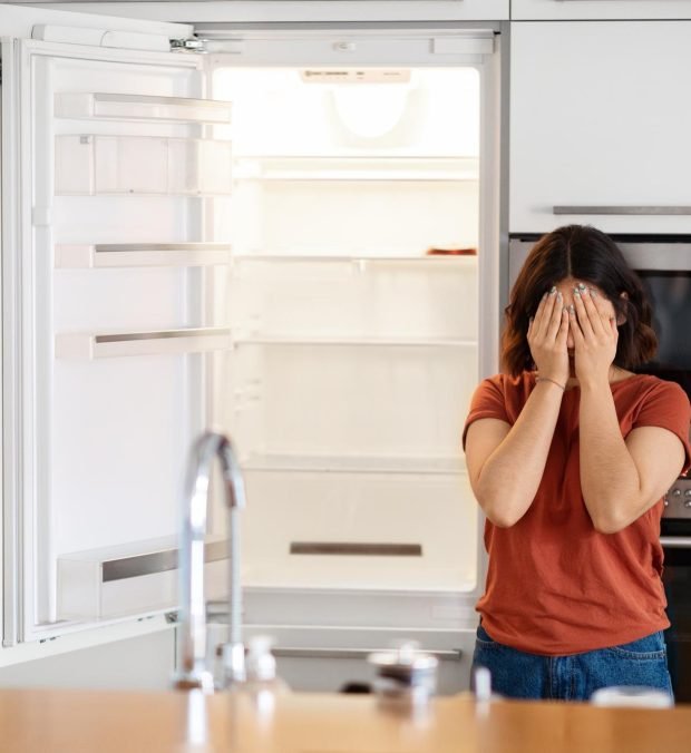 Refrigerator Removal Service in West Georgia