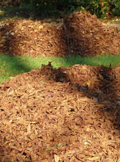 We Kleen Clutter Leaf Pile Removal in West GA